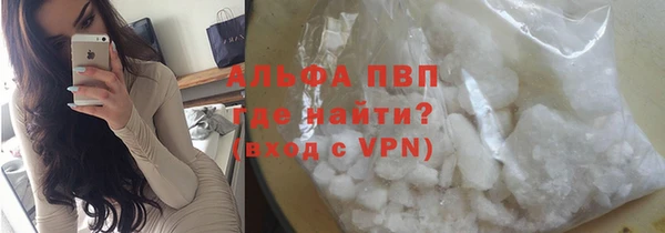 прущие грибы Богородск