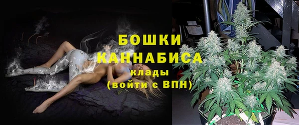 прущие грибы Богородск