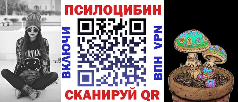 Галлюциногенные грибы Psilocybe  что такое   МЕГА ссылки  Шуя 